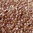 Kép 1/2 - Hajdina pirított 2kg