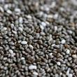 chia mag bulkshop chia mag bulkshop