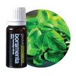 Borsmenta illóolaj 10ml, Gladoil Borsmenta illóolaj 10ml, Gladoil