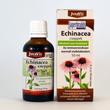 Echinacea cseppek, 50ml Echinacea cseppek, 50ml