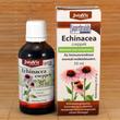 Echinacea cseppek, 50ml Echinacea cseppek, 50ml