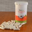 Hialuronsav kapszula 50mg Hialuronsav kapszula 50mg