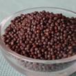 Mustármag barna 100g Mustármag barna 100g