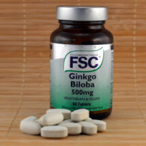 Ginkgo Biloba tabletta (FSC) 500mg, 60db