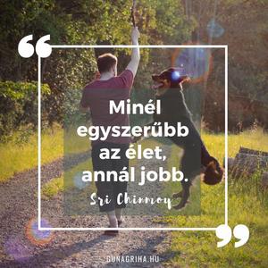 idezet 