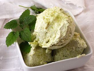 matcha tea fagylalt bulkshop vegán plantbased növényi alapú matcha tea fagylalt bulkshop vegán plantbased növényi alapú