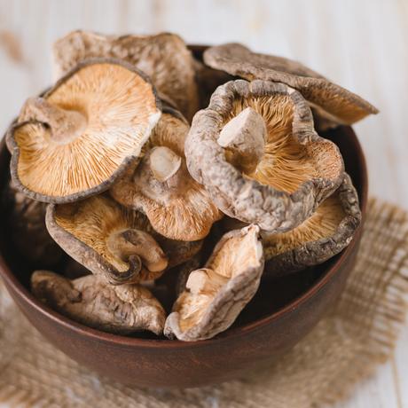 shiitake gomba - bulkshop