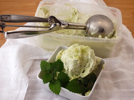 matcha tea fagylalt bulkshop vegán plantbased növényi alapú matcha tea fagylalt bulkshop vegán plantbased növényi alapú