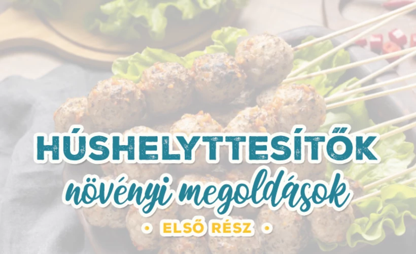 Húshelyettesítők