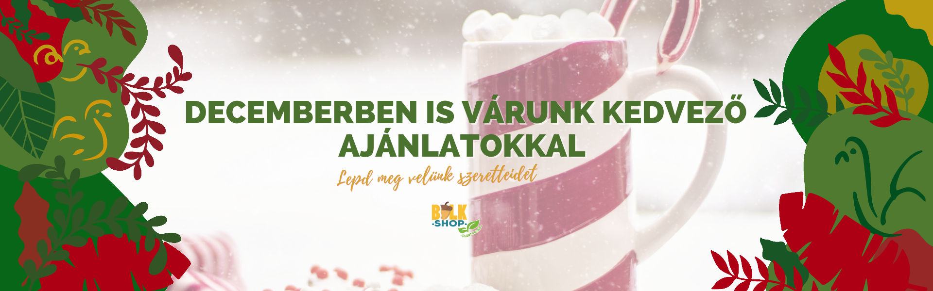 DECEMBERI AKCIÓINK